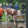 Einsaetze 2007-08-09 (12)